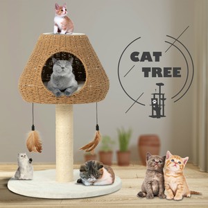 used cat tower