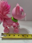 Bild 9 von 9