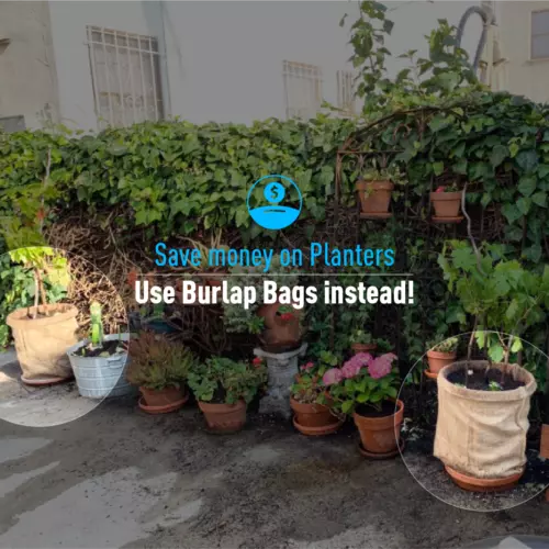 2 22x36 burlap bags, burlap sacks, potato sack race bags, sandbags, gunny sack image 9