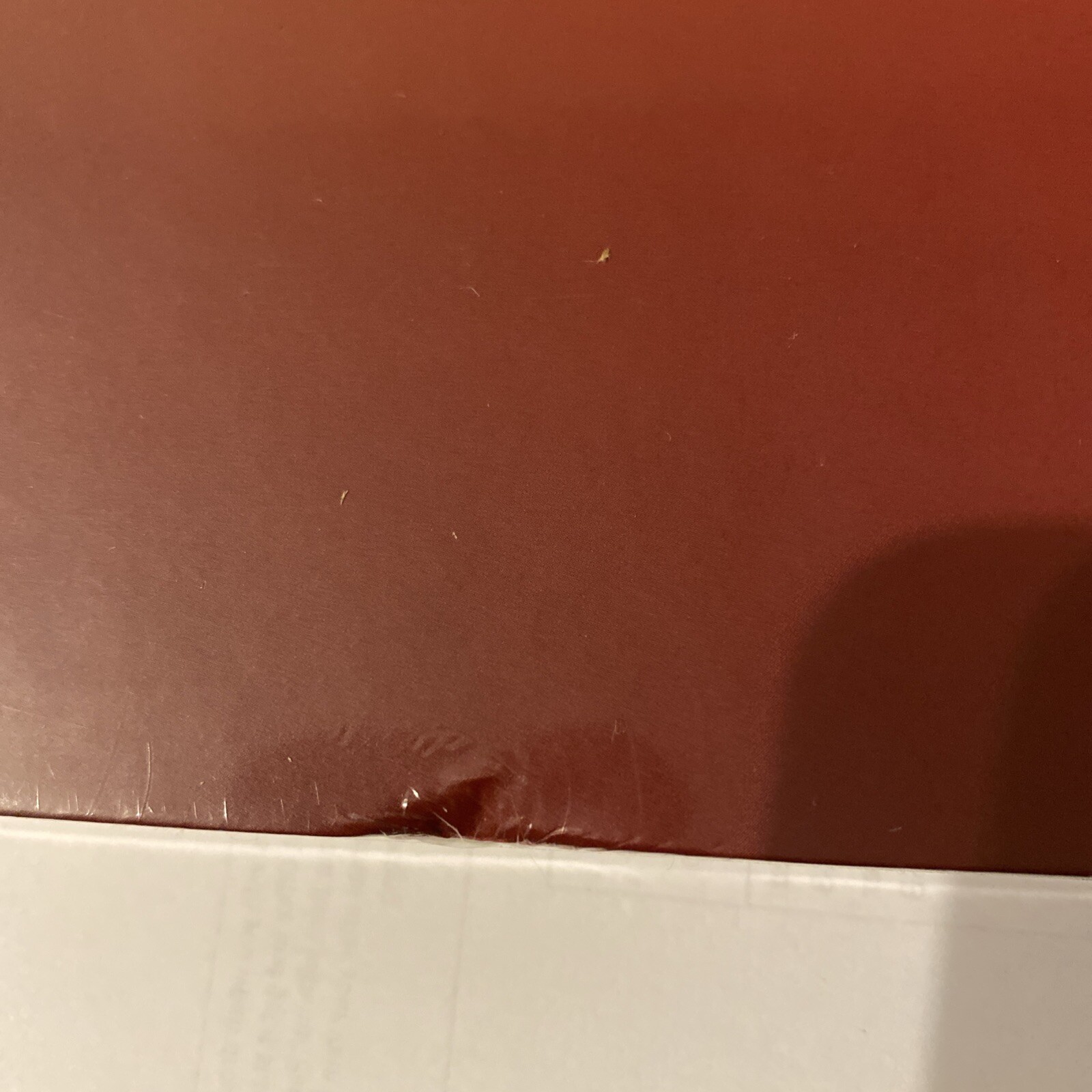 Picture 5 of 5