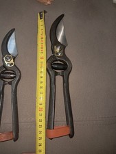 2 Buoi forbici per potatura