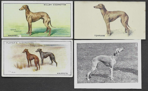 4 Different Vintage WHIPPET Tobacco/Cigarette Dog Cards