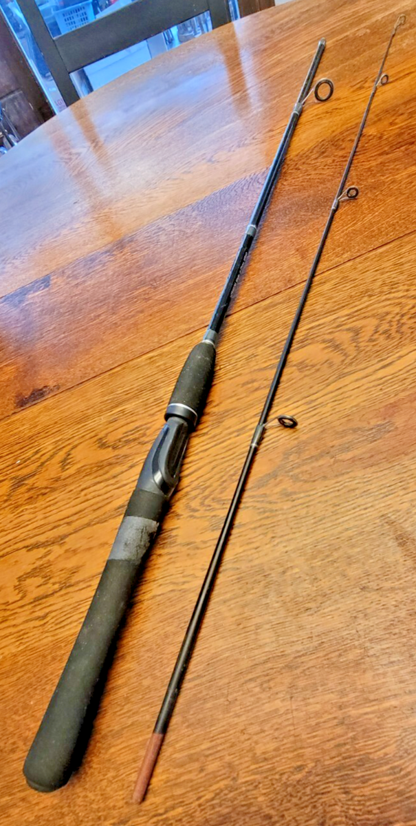 Zebco Horizon HZS602M Spinning Fishing Rod 2-Piece 6' | eBay