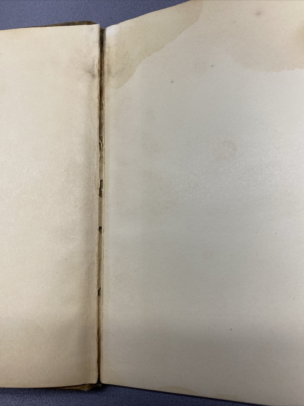 Picture 7 of 10