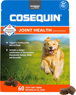 Nutramax Laboratories Cosequin DS plus MSM Professional Line for Dogs, 60 Soft C
