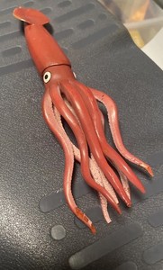 Giant Squid Figure Safari Ltd. 1998 Monterey Bay Aquarium Sea Life MISSING ARMS