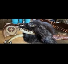 **AWESOME  VINTAGE NATIVE AMERICAN MEDICINE DANCE RATTLE STICK NICE! *