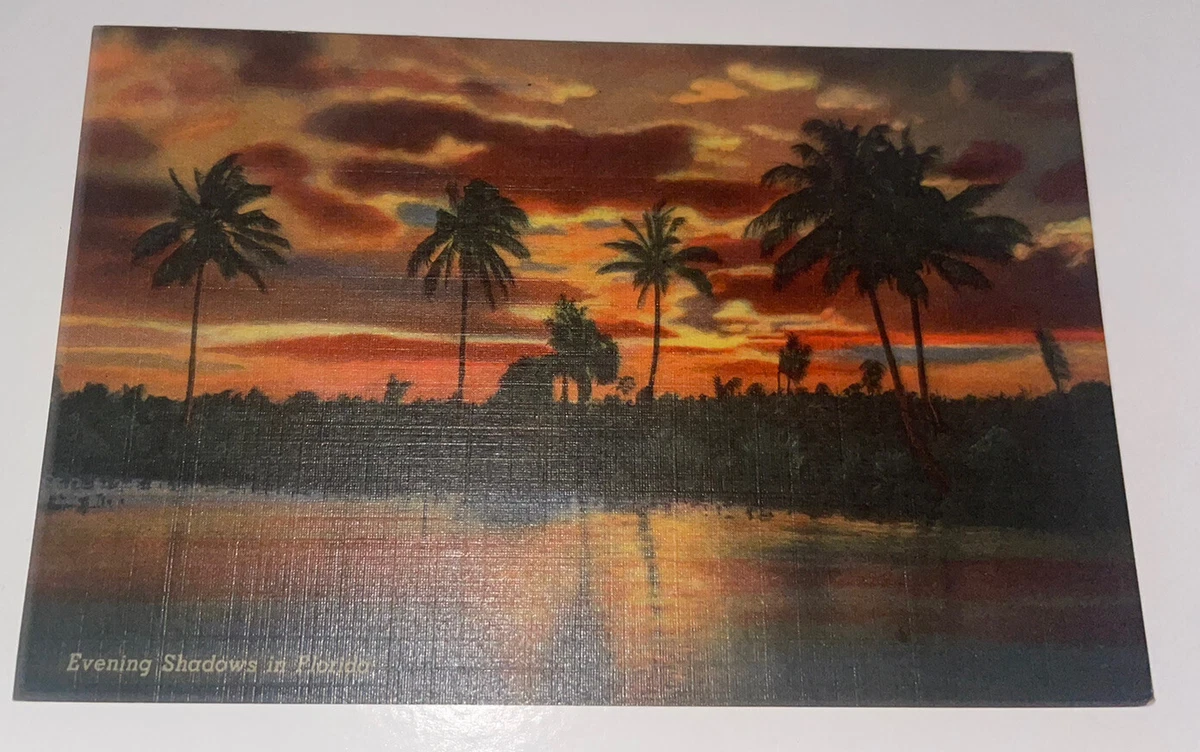 Palm Tree Sunset Rug Vintage Palm Trees Sunset