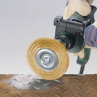 Bild 10 von 12
