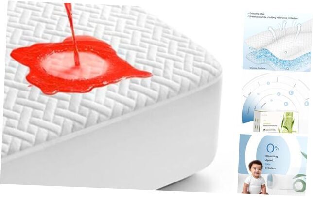 Queen Waterproof Mattress Protector, Premium Viscose from Queen(60