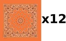 100% Cotton Made in USA Bandanna (Orange) DOZEN Paisley 22"x22" Hav-A-Hank