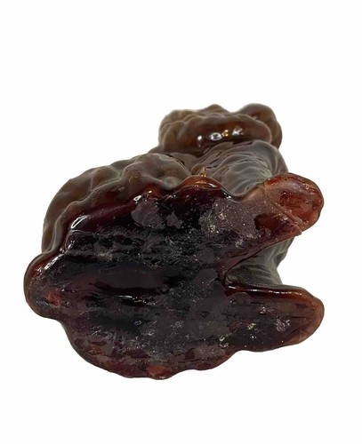 Candle Cocker Spaniel 7” Alto 4” Ancho Brillante Color Marrón Verdadero Nunca Iluminado - Imagen 7 de 9