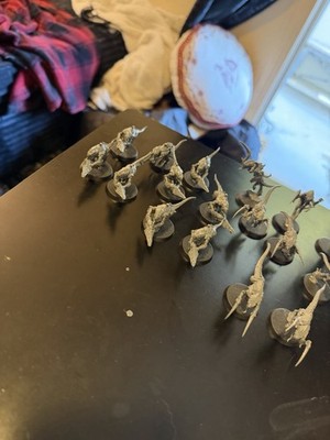 warhammer 40k termigaunts and hormagaunts