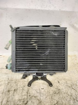 KOMPLETTER WASSERKÜHLER FÜR APRILIA LEONARDO 125-150 AB 1997 (e55867)