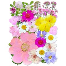 MIKIYA 33Pcs Pink Pressed Dried Flowers for Resin, Real Natural Bulk