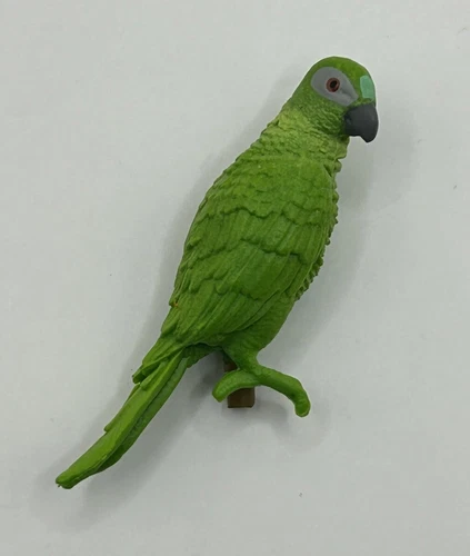 GIJoe Classified Series Shipwreck Polly The Parrot Fodder 1/12 Scale