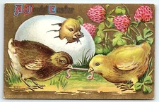 1910 JOYFUL EASTER BABY CHICKS FIGHTING FOR WORM HATCHING EGG POSTCARD P2495