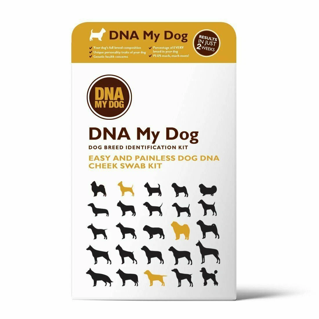 Dog top breed dna