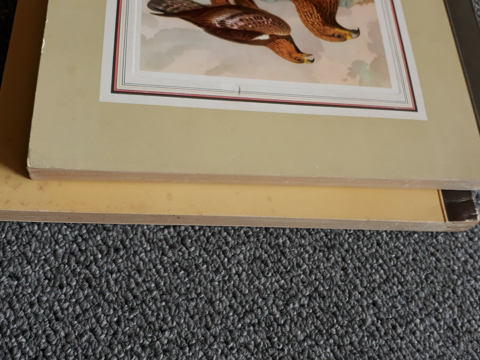 Bild 11 von 12