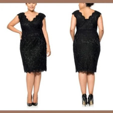 EUC Tadashi Shoji [ 16 ] Embroidered Lace VNeck Sleeves Sheath Dress Black J2204