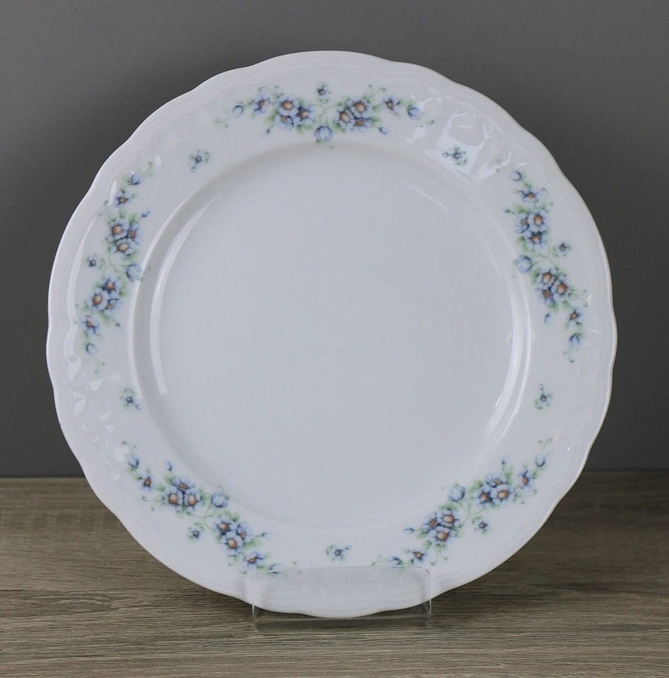 Seltmann Weiden Julia Blaue Margeritenranke Speiseteller Essteller Ø 25 cm - Bild 1 von 1