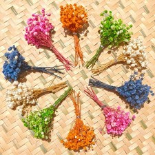 120 Pcs Mini Dried Baby Breath Flowers Gypsophila Ivory Mixed Color Flowers D...