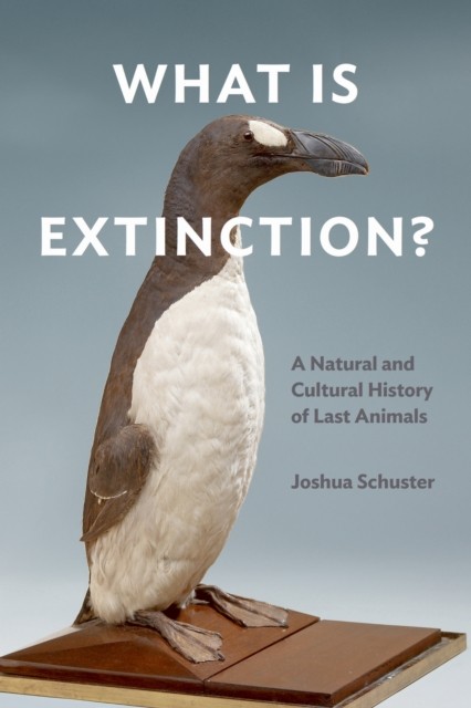 What Is Extinction?: A Natural and Cultural  by Joshua Schuster PAPERBACK