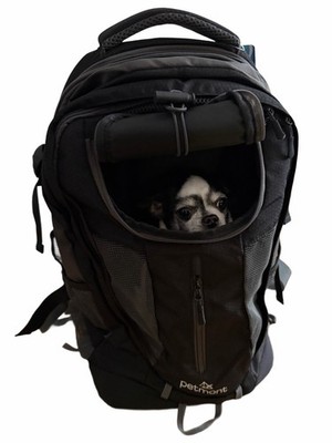 Petmont Rucksack in Schwarz für Hunde bis zu 8 kg Hunderucksack Katzen