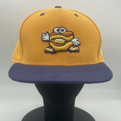 Montgomery Biscuits Minor League 