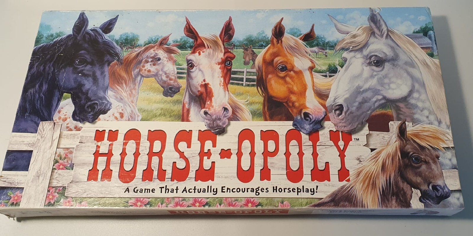 Horse-Opoly Family Board Game for Pony and Horse Lovers monopoly