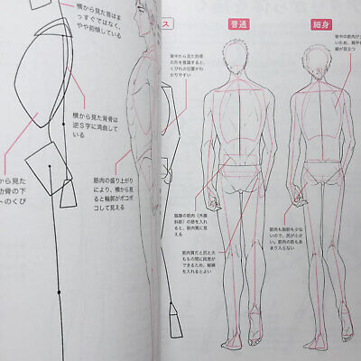 How To Draw Manga BL Boys Love Drawing Basic Technique Book Japanese