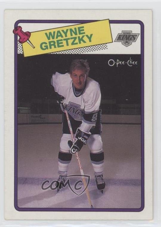 1988-89 O-Pee-Chee Wayne Gretzky #120 HOF 0cg
