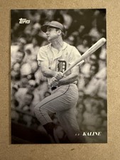 2022 Topps Black & White Al Kaline No. 73 Detroit Tigers NM - MT +
