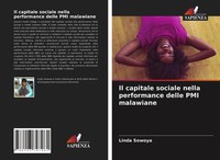 Linda Sowoya | Il Capitale Sociale Nella Performance Delle Pmi Malawiane | Buch