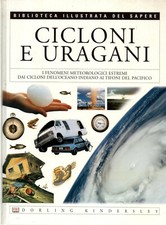 CICLONI E URAGANI  -2004 #WX2