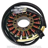 Stator SGR Trifase 18 Pol Suzuki GS Ohne Pick-Up FüR Moto Ersatzteile ZubehöR