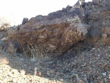GE North 1 Gold Mine Searchlight Nevada Gold Mining Claim Near Las Vegas