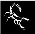 WHITE Vinyl Decal - Scorpion sting scorpions  truck sticker fun