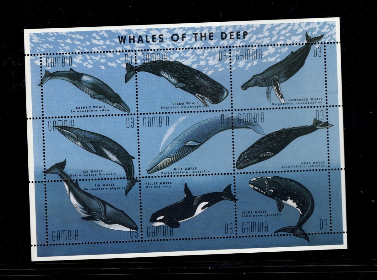Gambia 1995 Whales, Sperm, Blue, Fin, Killer, Right, Grey