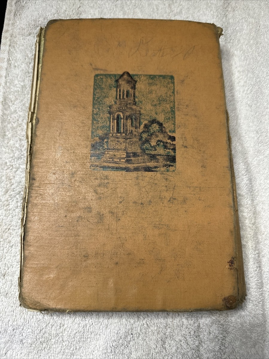 洋書 LATIN 61Sz1D979LL._UF350,350_QL50_.jpg