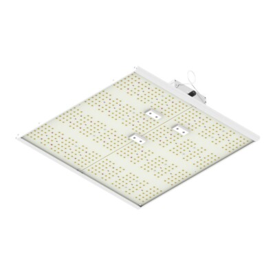 ORTOLED - QUANTUM BOARD | 240W
