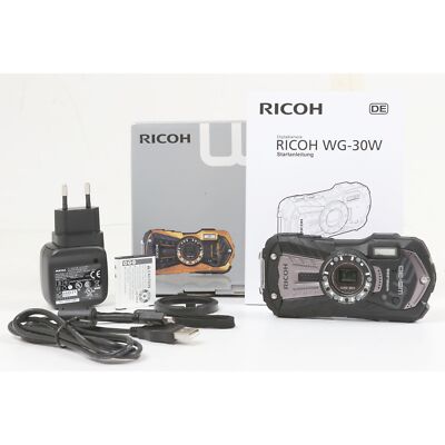 RICOH WG-30W CARBON GRAY60s Lakeland ヴィンテージ コーデュロイ