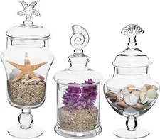 Set of 3 Seashell Handle Clear Glass Apothecary Jars / Food Storage Canisters