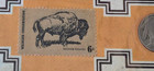 Native American Coins & Stamp Set, 1903 Indian & 1925 Buffalo coins, 1970 stamp — photo 5