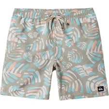 Quiksilver Everyday Mix 17" Swim Trunks - Pale Aloe