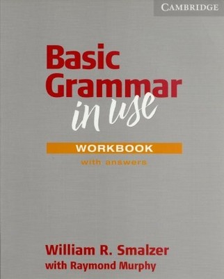 Basic Grammar in Use With Answers Buch Cambridge University Press