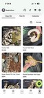 Ball python Desert Ghost TSK collection, moving out of country. $35k invested — photo 1