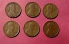 LOT OF 6 Wheat Cent Pennies in G/ VG  CIRCULATED