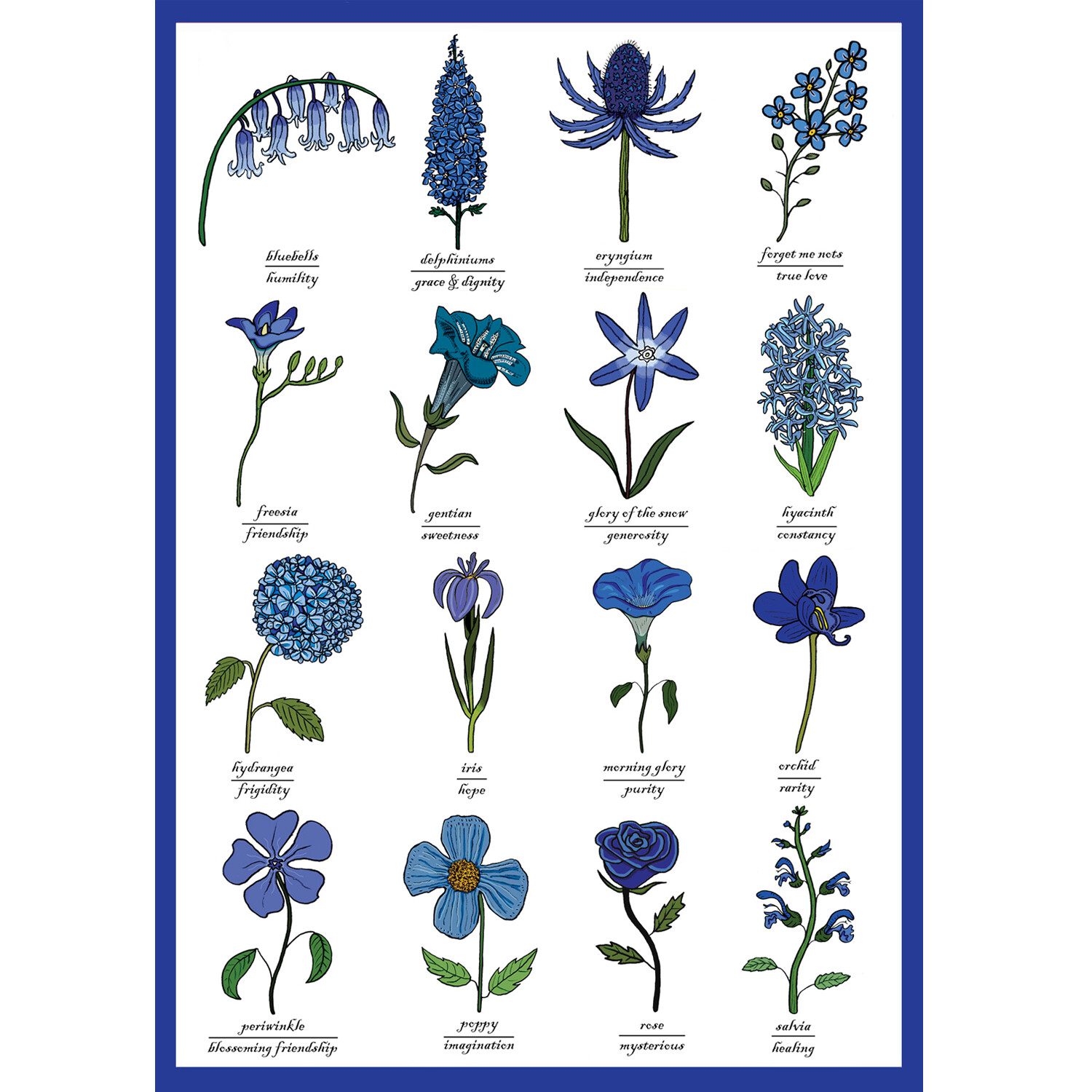 The Language of Blue Flowers Identification Chart Symbolism Botany Art
