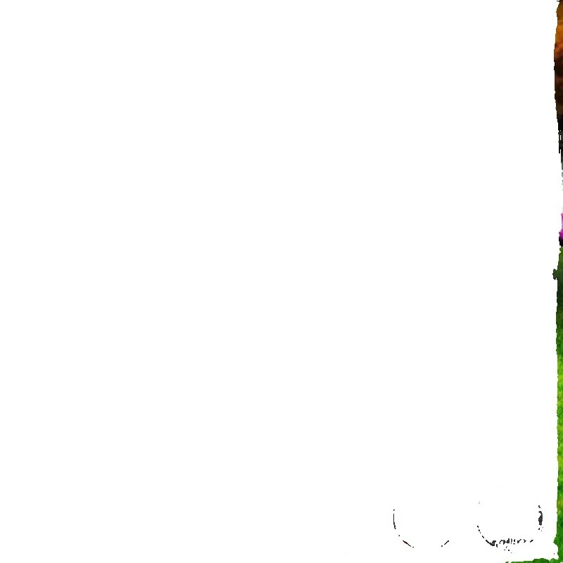 RGB LED 5 V String & Fairy Lights